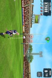 game pic for Rugby Kicks